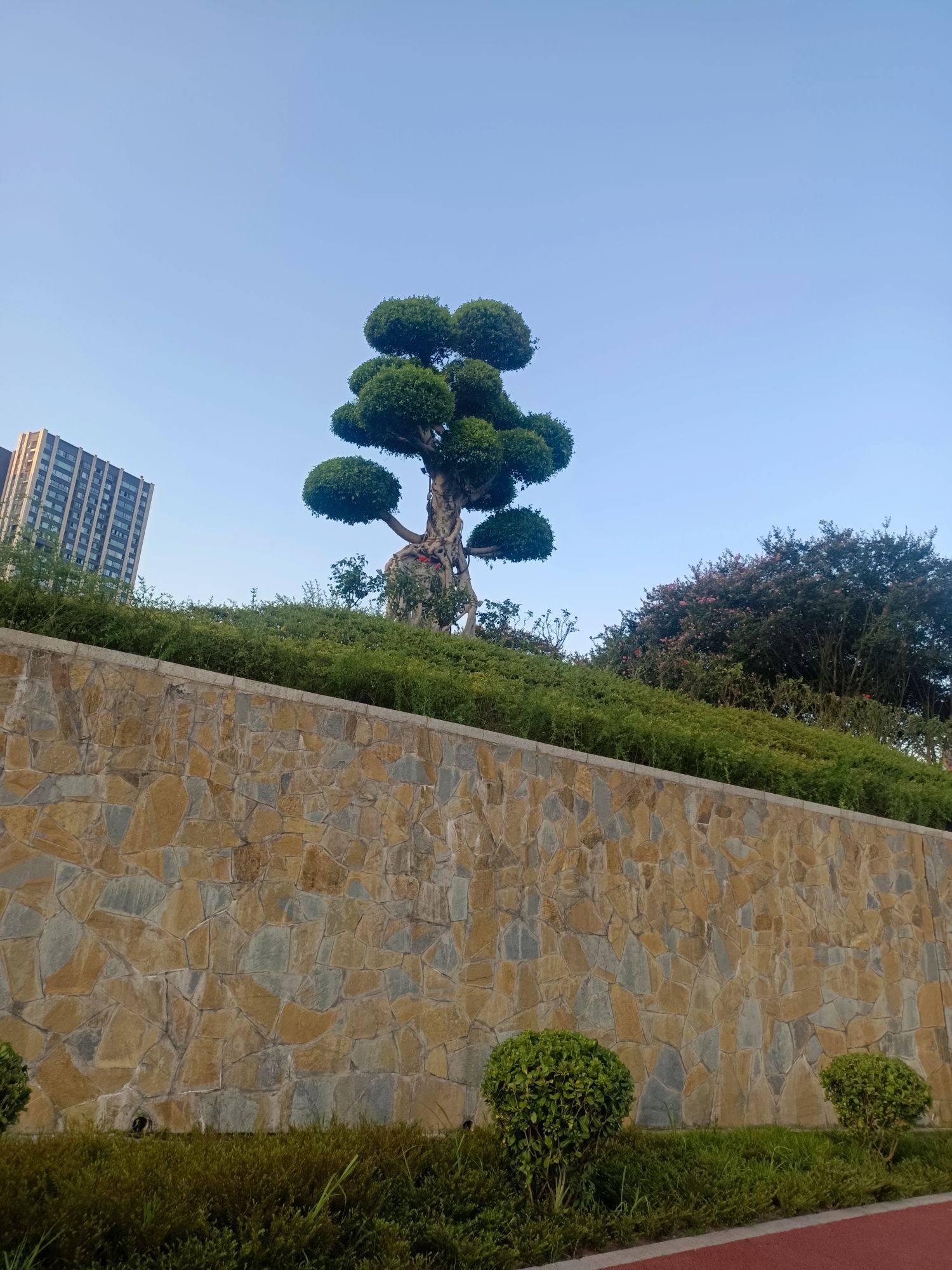 椒盐香豆腐(凤山路店)