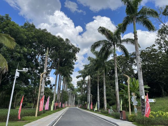 七仙岭全球热带水果博览中心旅行图片 4