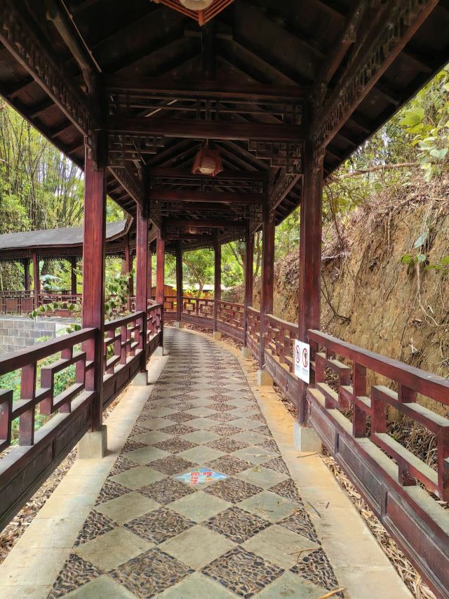 高黎贡国际精品咖啡文化园景区旅行图片 9