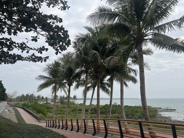 洋浦滨海公园旅行图片 15