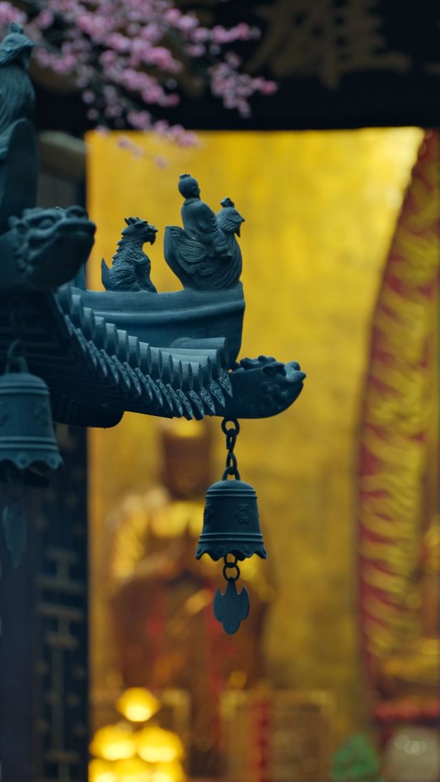 湖州铁佛寺旅行图片 15