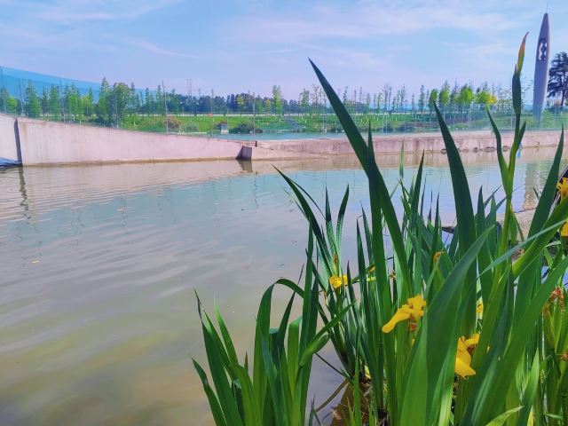 中岩寺景区旅行图片 2