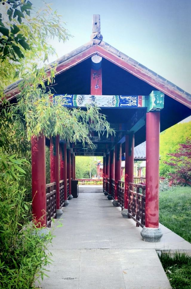 邯郸植物园旅行图片 2