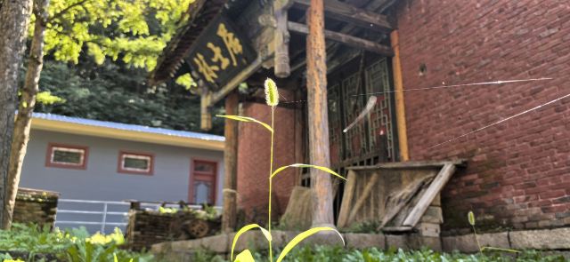 藏山旅游风景区旅行图片 1