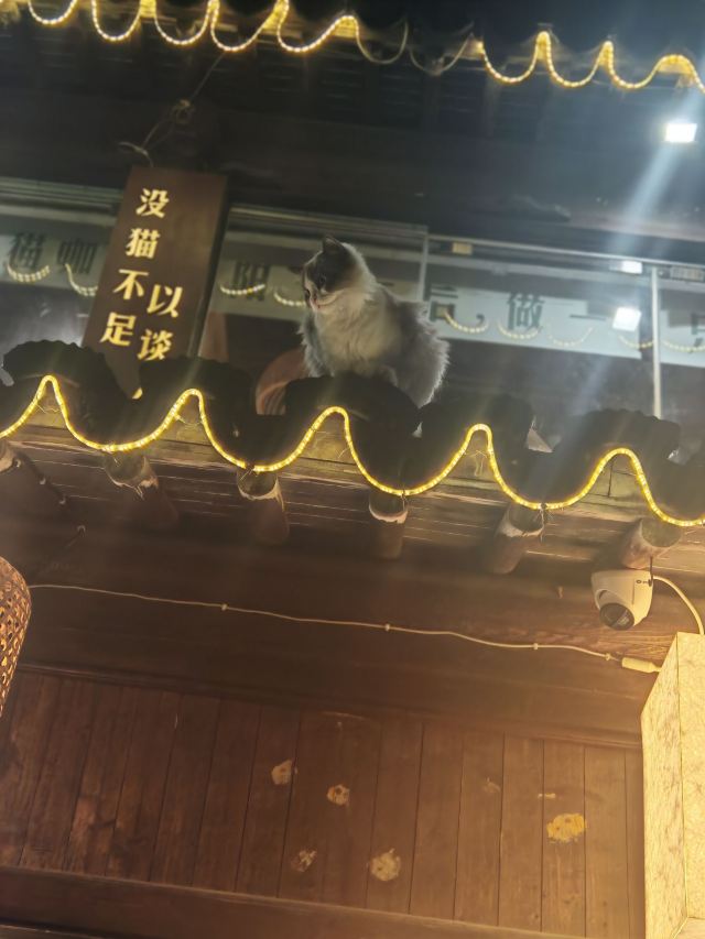 苏州市枫桥风景名胜区旅行图片 3