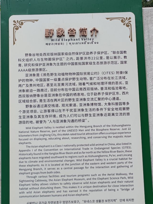 野象谷景区旅行图片 2