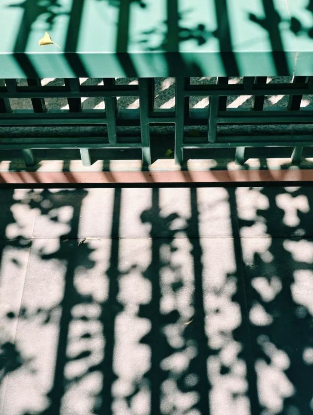 丰台花园旅行图片 1
