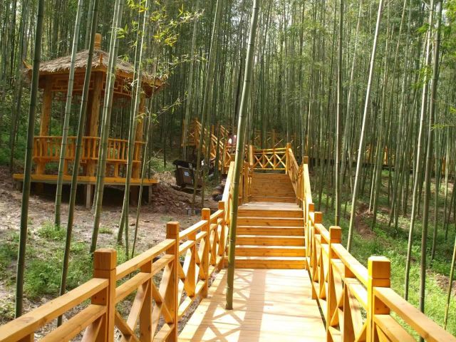 中国·秦岭·竹海旅行图片 8