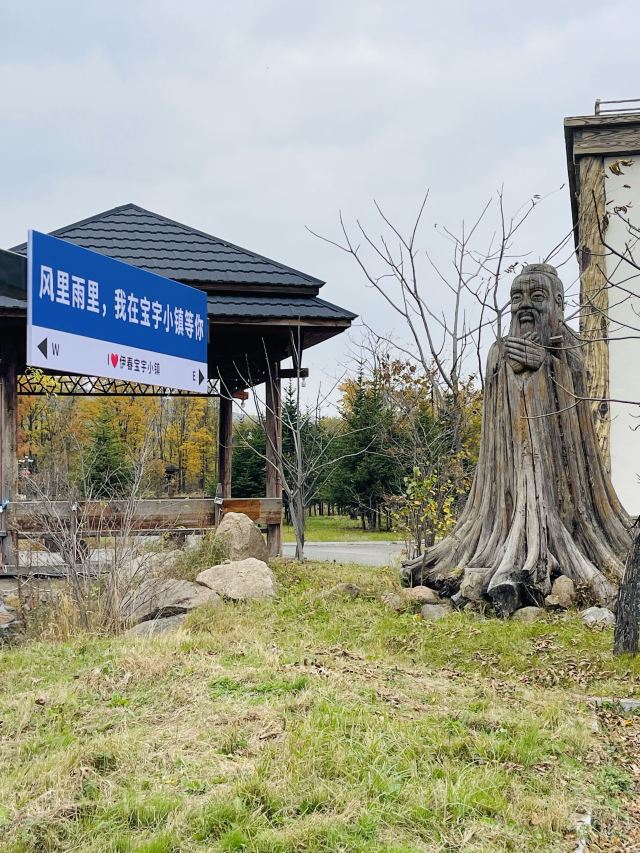 宝宇森林生态小镇旅行图片 10