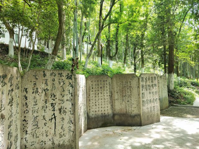 芦花荡公园-园门旅行图片 1