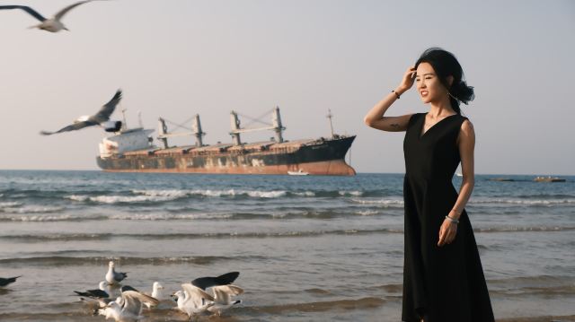 布鲁威斯号搁浅巨轮旅行图片 11