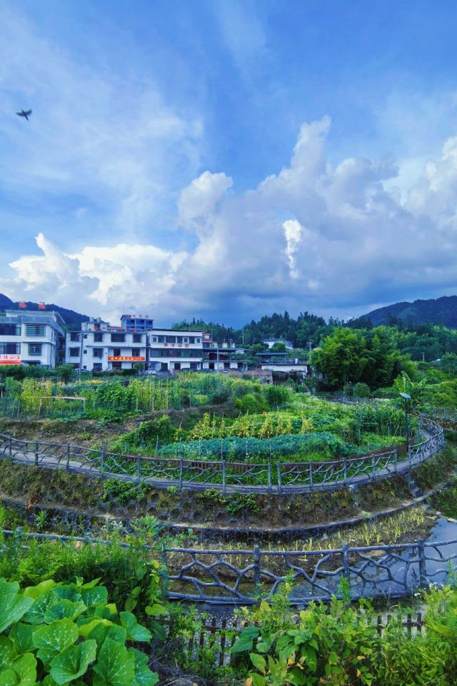 青竹村文化广场旅行图片 2