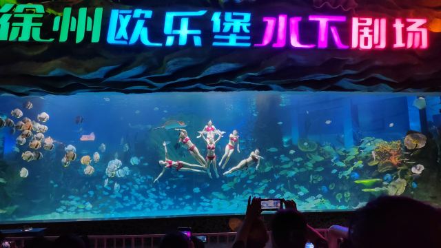 徐州欧乐堡海洋极地世界旅行图片 1
