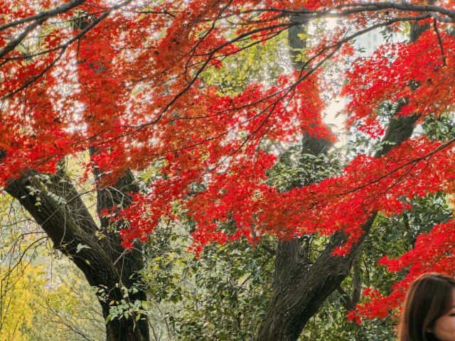西安市纺织公园旅行图片 1