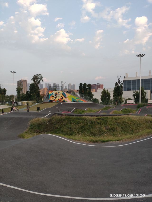 梧桐·雨旅行图片 2