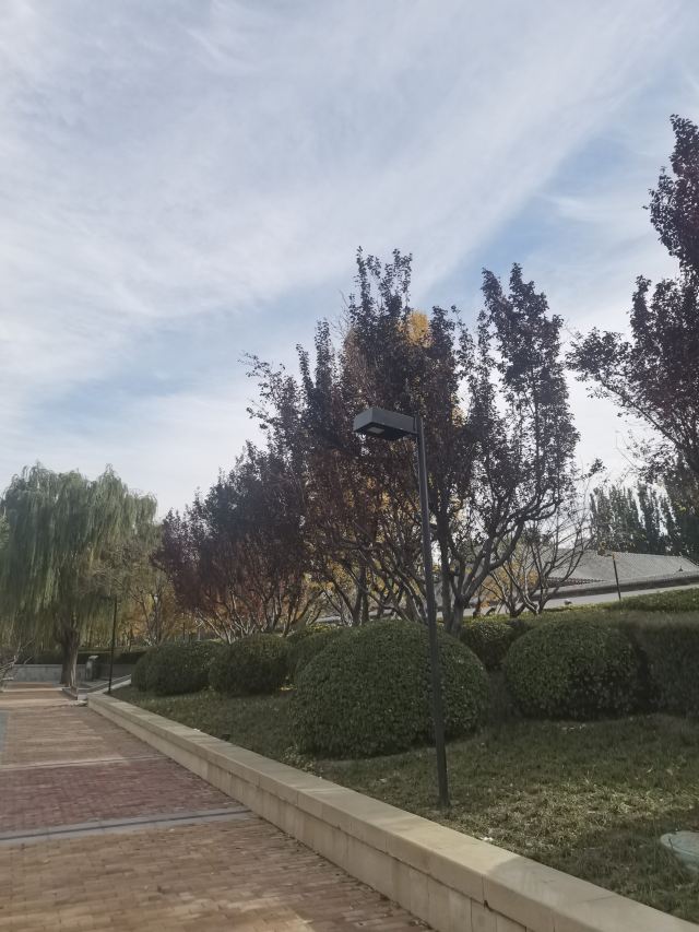 庆丰公园旅行图片 6