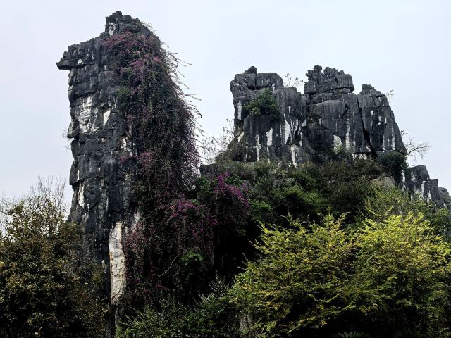 七星景区旅行图片 2