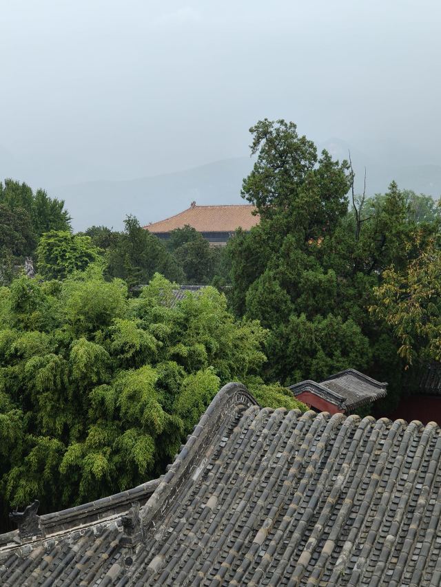 岱庙旅行图片 3