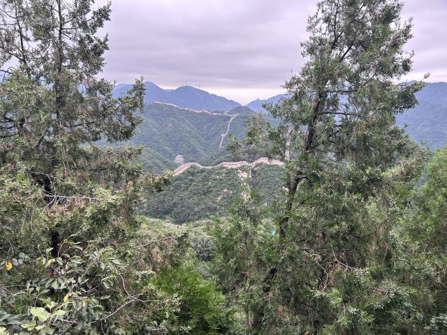 八达岭长城旅行图片 5
