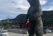 Bjørneparken Shopping购物图片