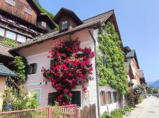 哈尔施塔特-萨尔茨堡-一杯清茶看春秋！