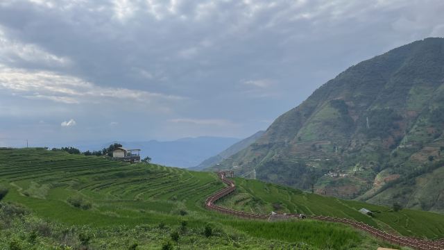 新山梯田旅行图片 4