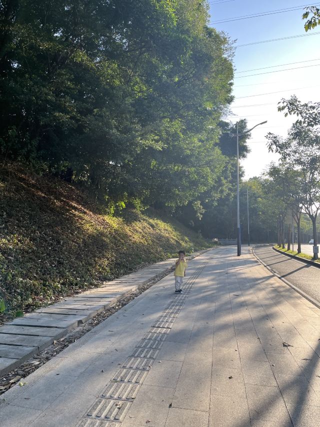 尖岗山公园旅行图片 3