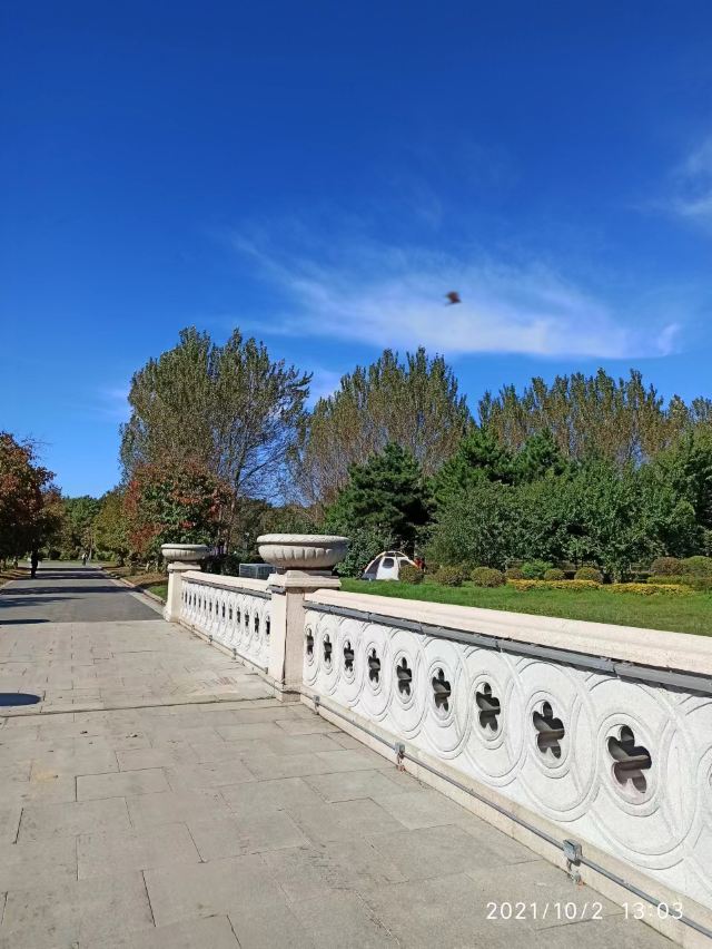 长春国际汽车公园旅行图片 3