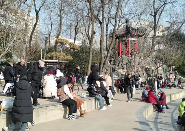 莲湖公园旅行图片 3
