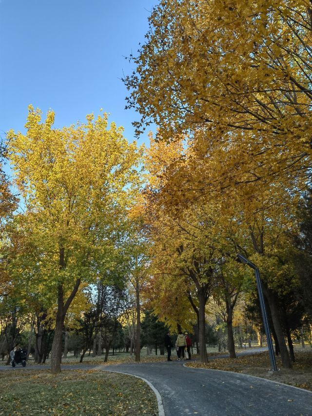 东坝公园旅行图片 10