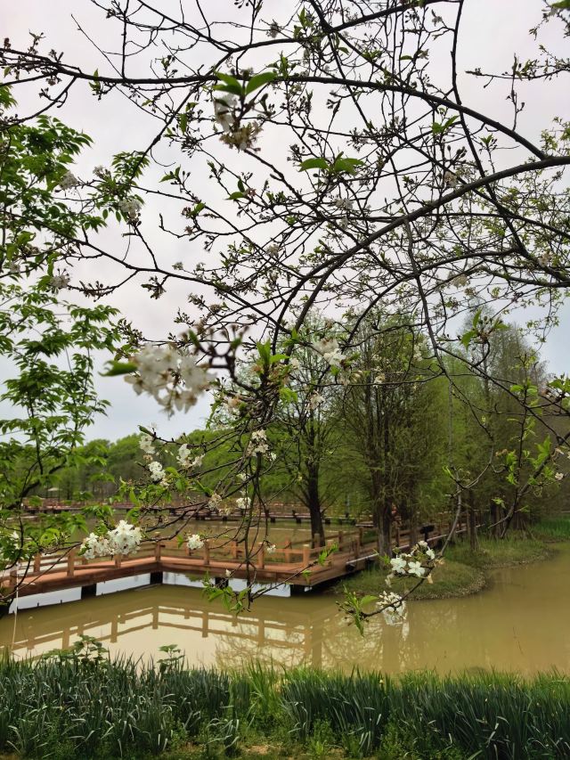 江西省凤凰沟风景区旅行图片 4