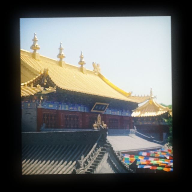 广仁寺旅行图片 7