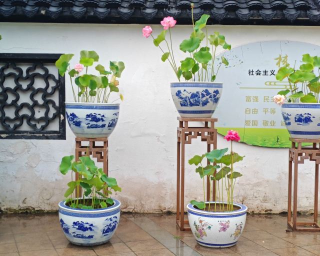 莫愁湖公园旅行图片 5