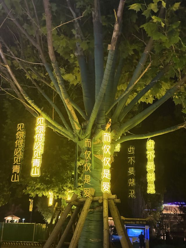 唐津运河生态旅游度假区旅行图片 3