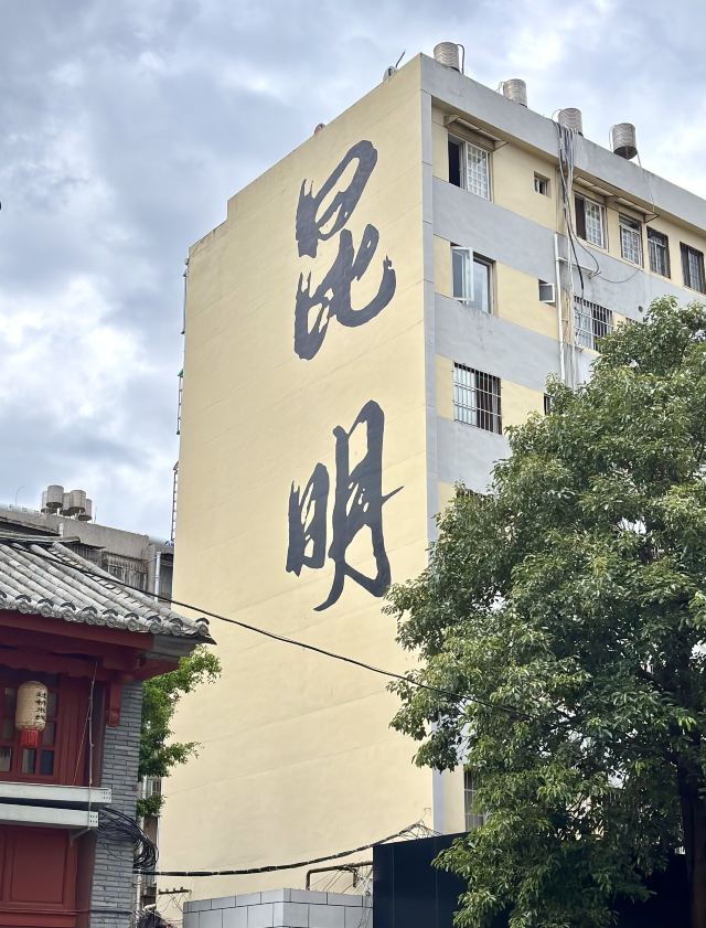 昆明胡志明旧居旅行图片 2
