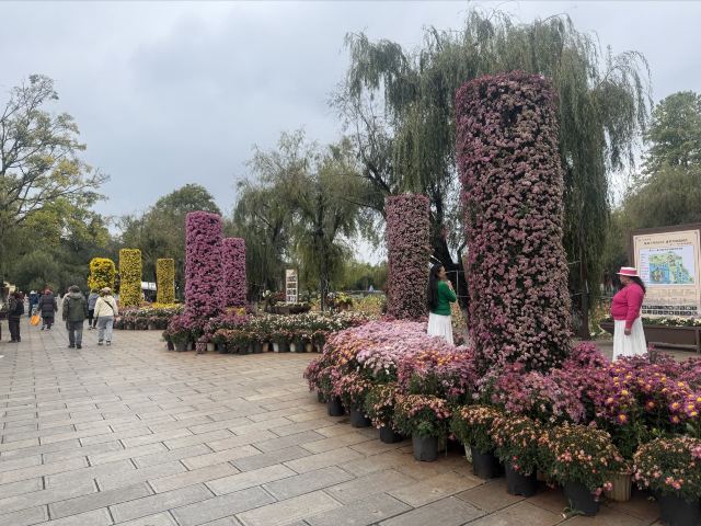 大观园旅行图片 2