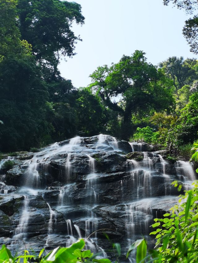 海南百花岭热带雨林文化旅游区-小卖部旅行图片 6