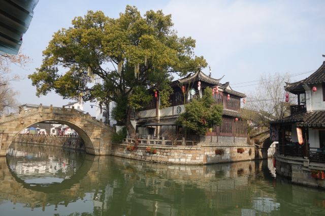 枫泾古镇旅行图片 4