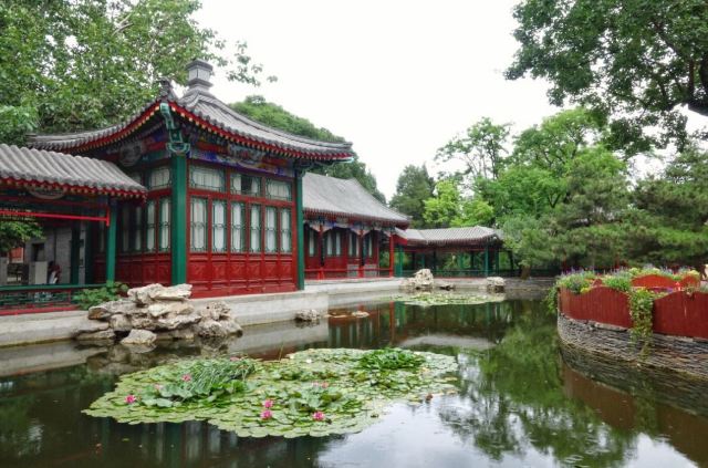 宣武艺园旅行图片 2