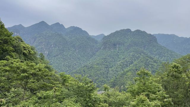 五指峰旅行图片 3