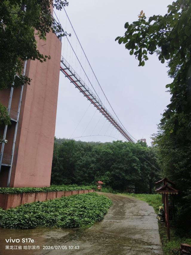 5D玻璃彩虹桥旅行图片 3