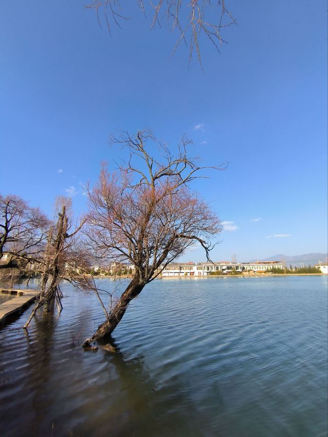 黄龙潭公园旅行图片 2