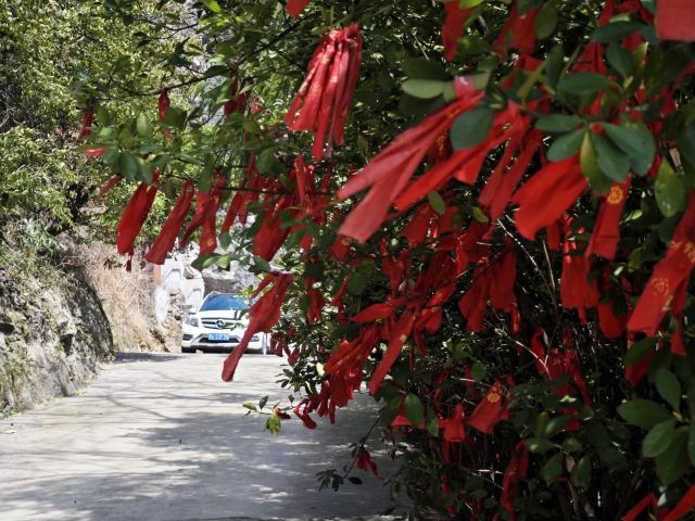 佛光寺旅行图片 3