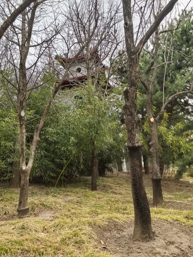 花博会主题公园旅行图片 5