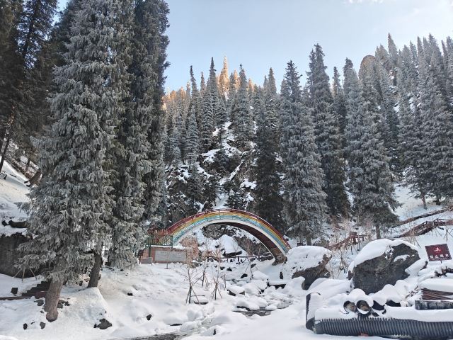 南山牧场西白杨沟景区旅行图片 1