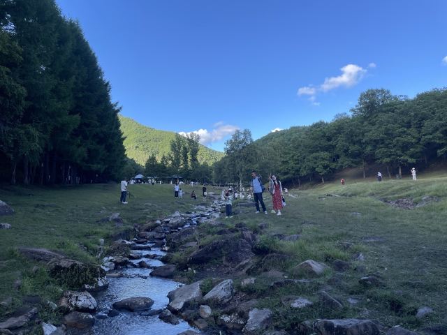 飞泷金山鹿苑旅行图片 2