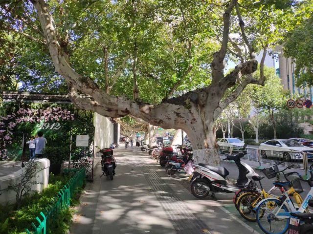 南京1912街区旅行图片 3