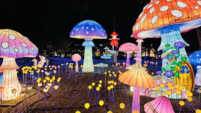 金平湖灯秀旅行图片 4