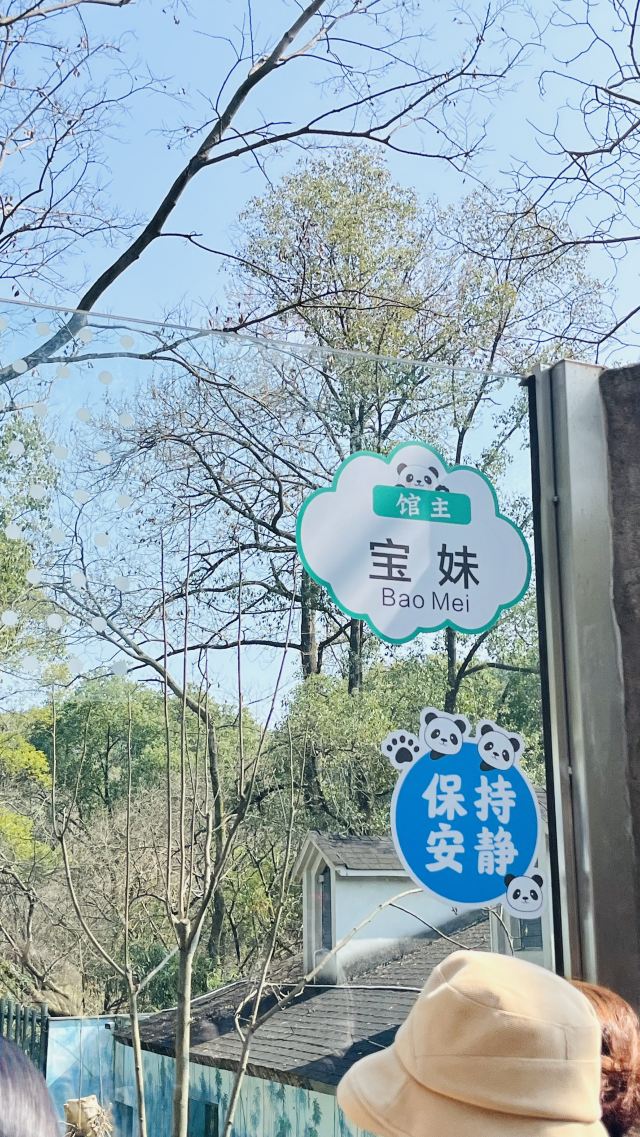 大熊猫馆旅行图片 4
