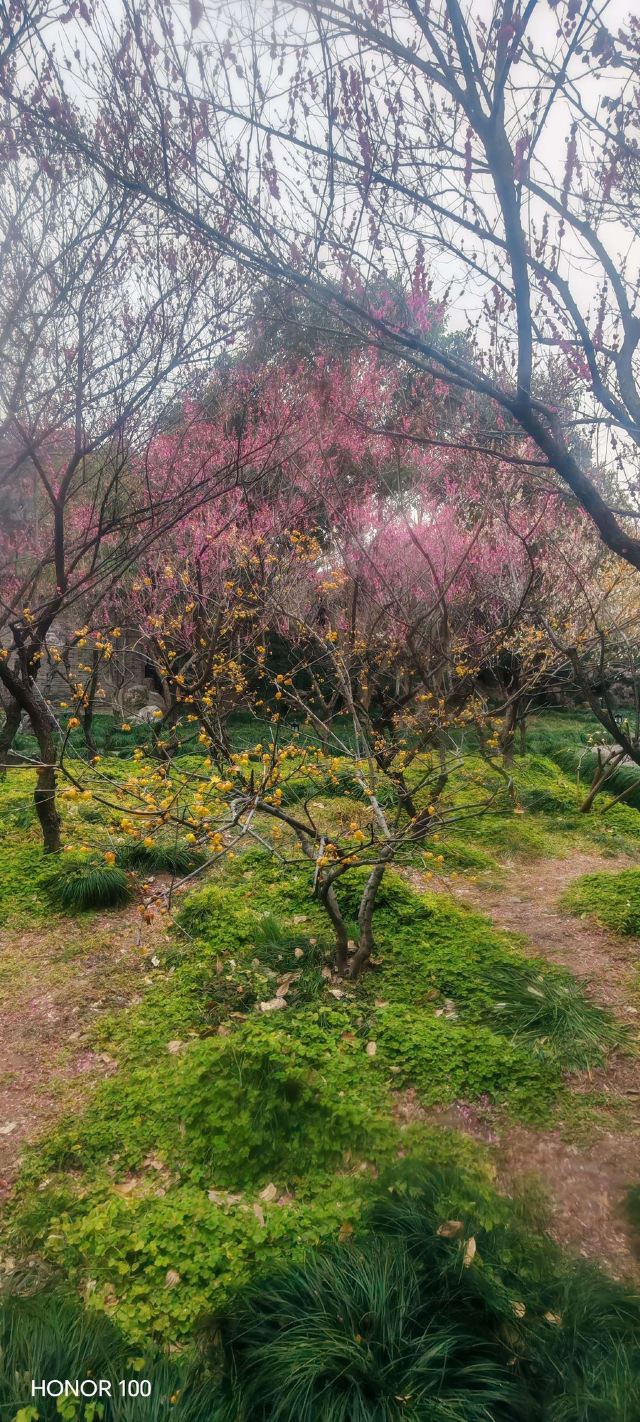 扬州大运河文化旅游度假区·史可法纪念馆旅行图片 7